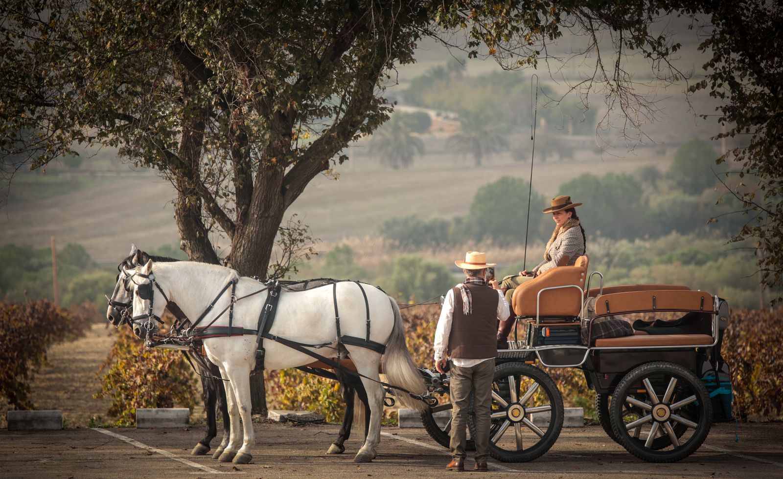 Búscate en la III Ruta Viñas de Jerez de Enganches