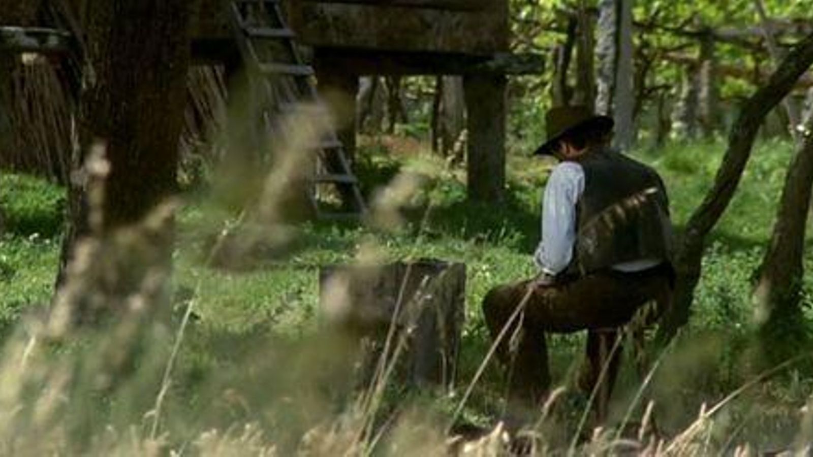 La naturaleza juega un papel esencial en 'Los Pazos de Ulloa'.