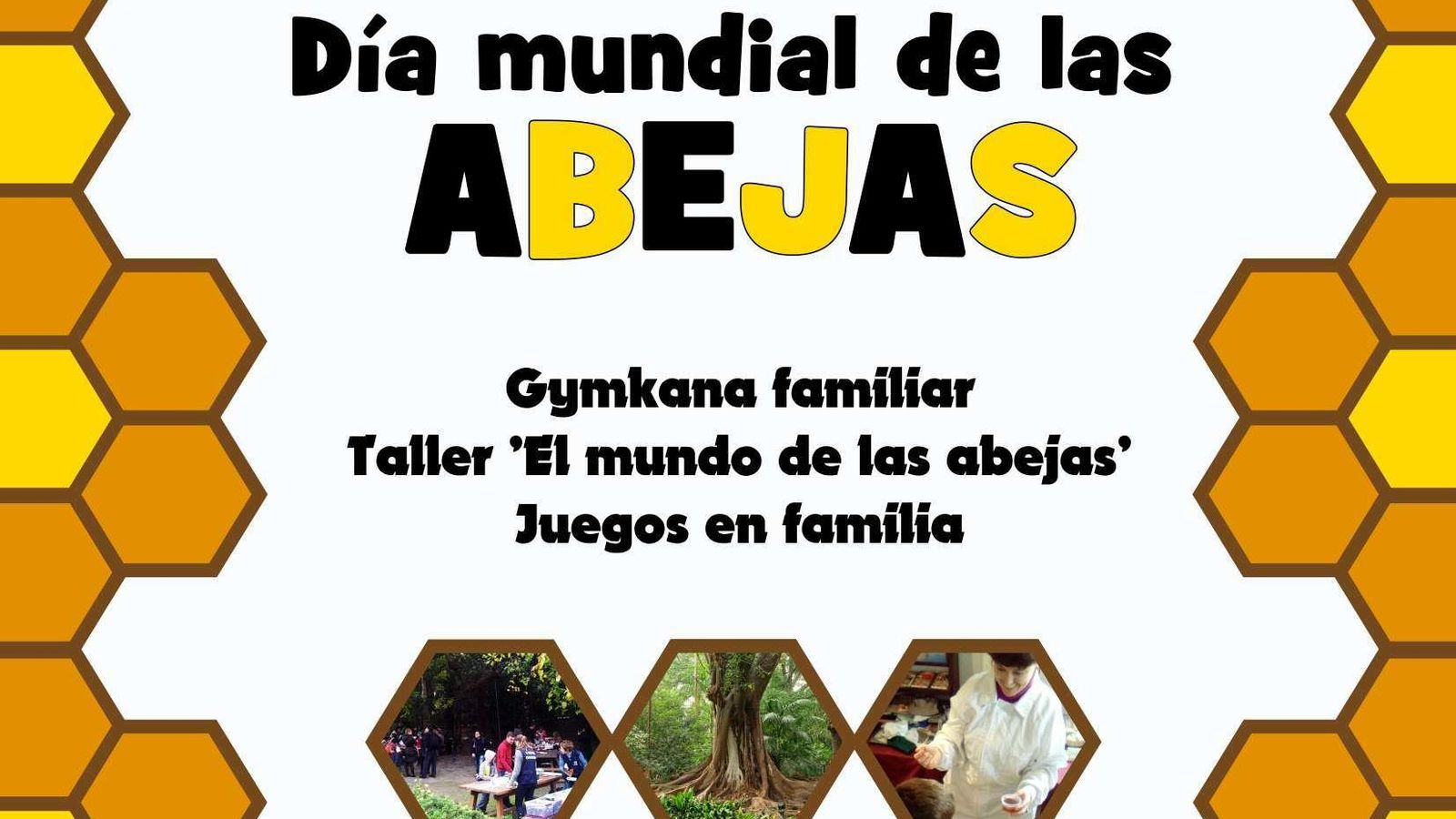 Cartel del Día Mundial de las Abejas del Jardín de La Concepción.