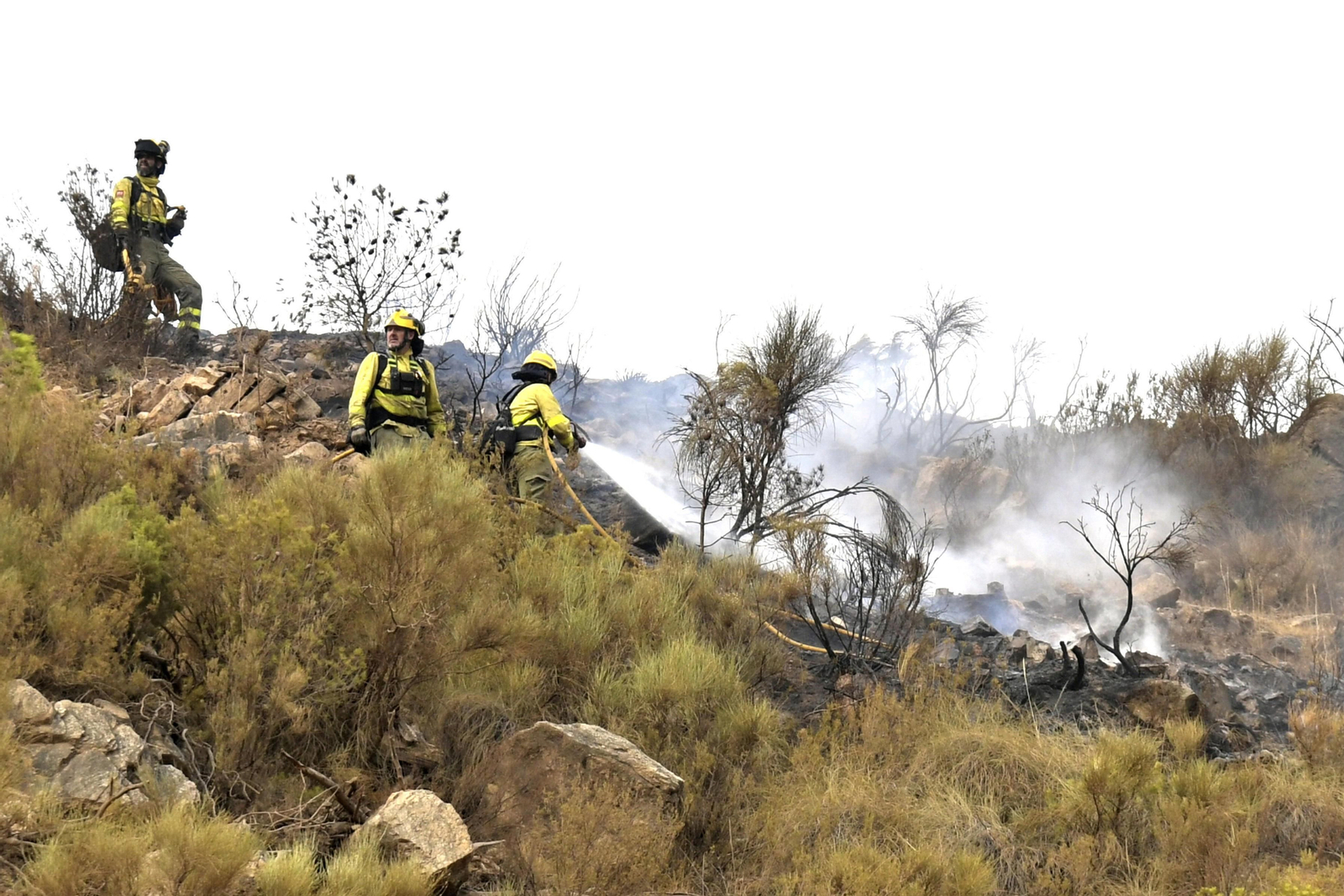 Operarios del Infoca extinguen los últimos focos del incendio de Los Guajáres.