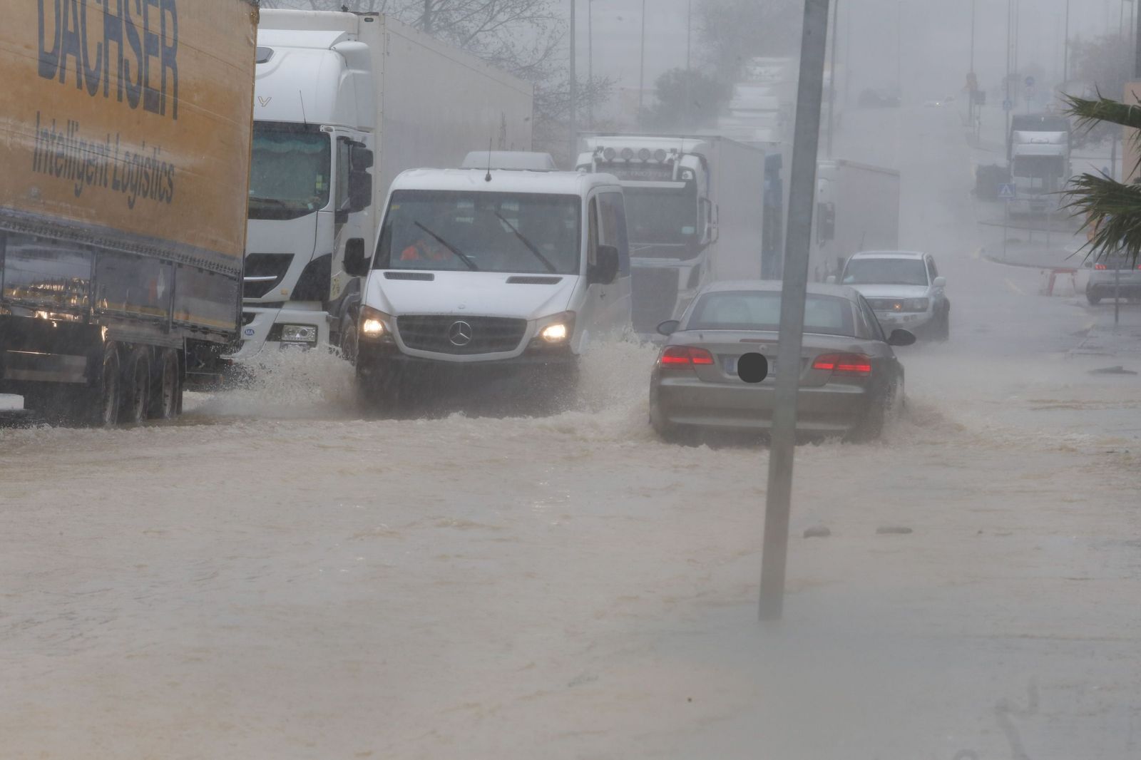 Fotografías de árboles caídos e inundaciones por la borrasca Leonardo