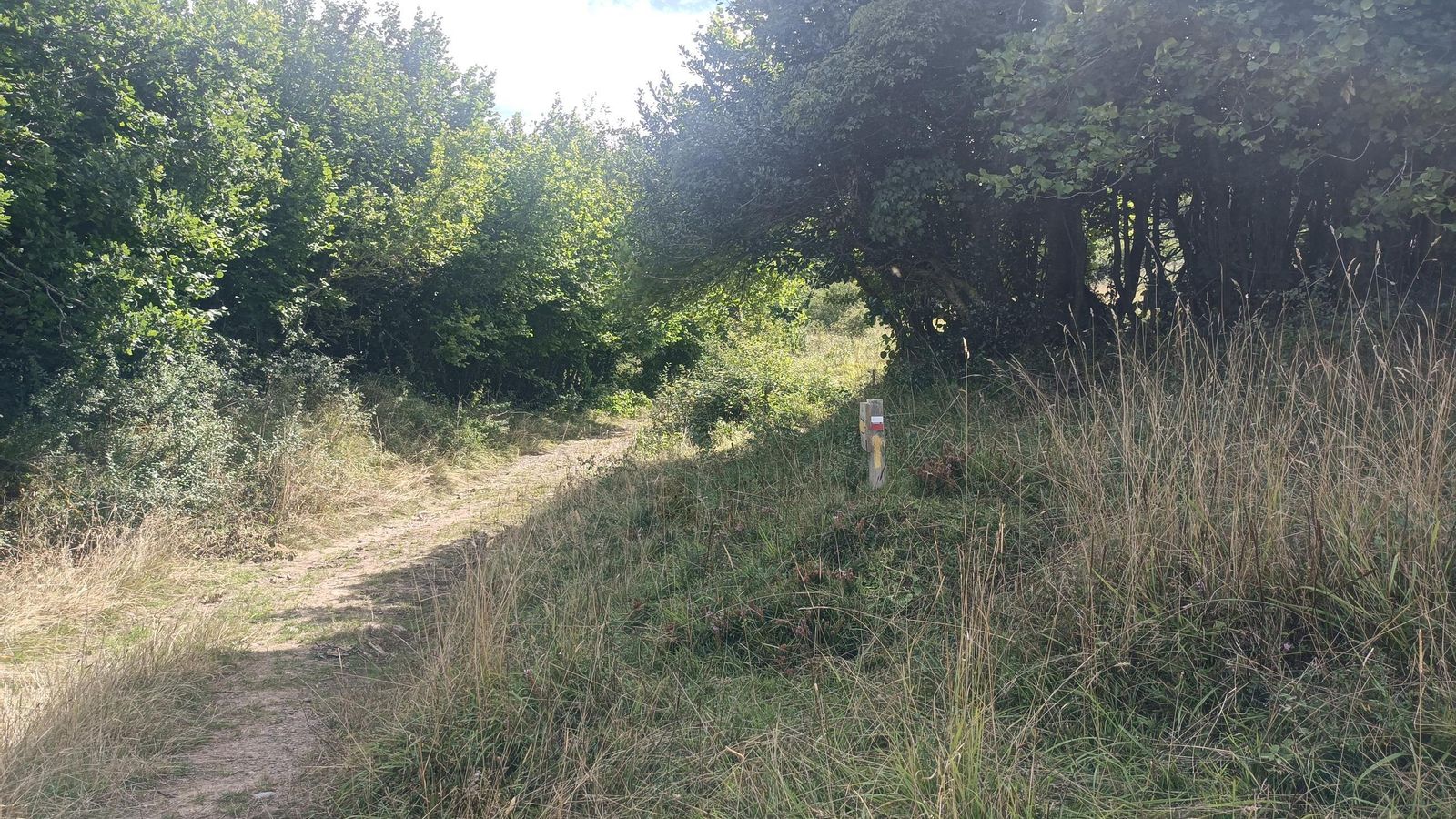 Comienza la segunda subida.