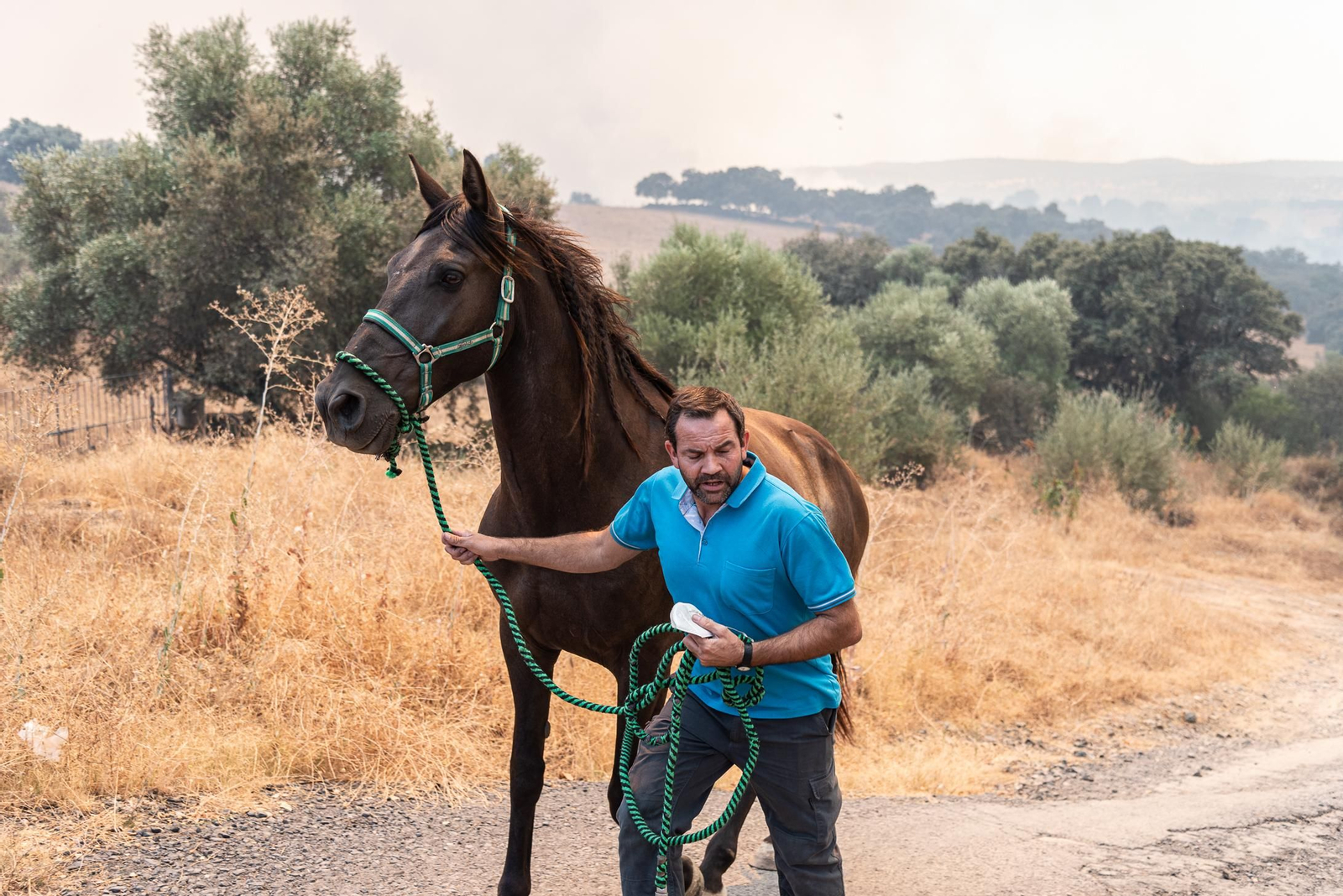 Imágenes del corte de la A-478