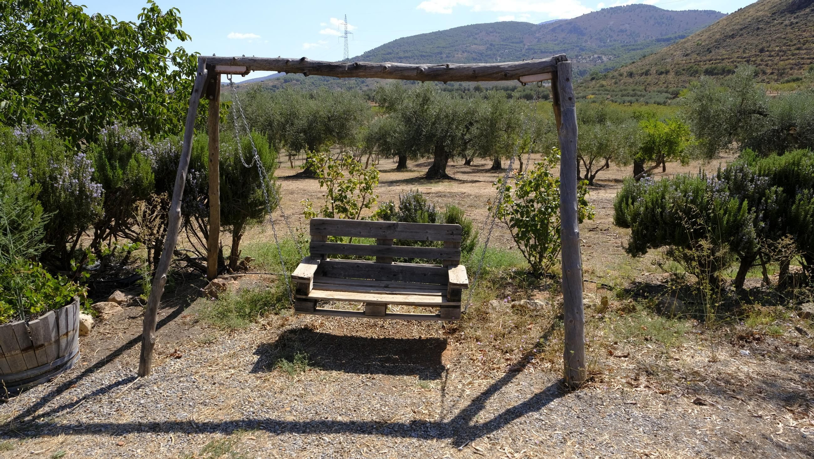 La vendimia en la Bodega Cortijo del Cura de Laujar, en imágenes
