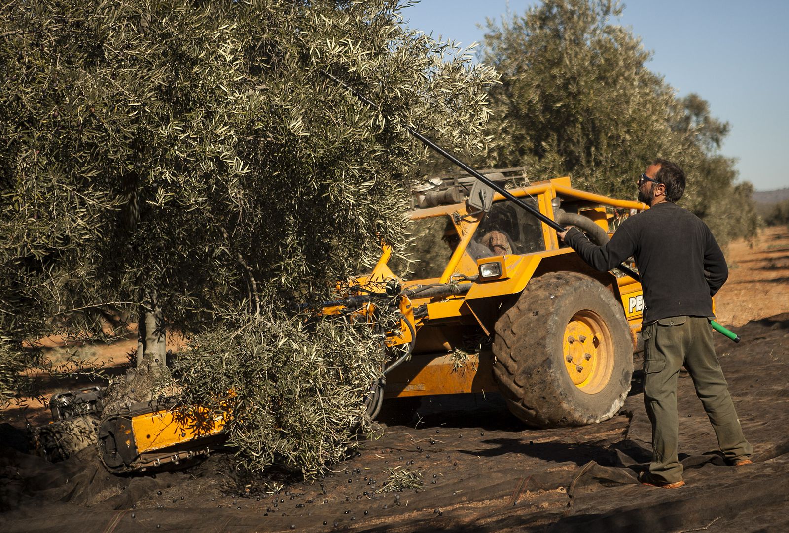 Un agricultor trabajando en el campo.