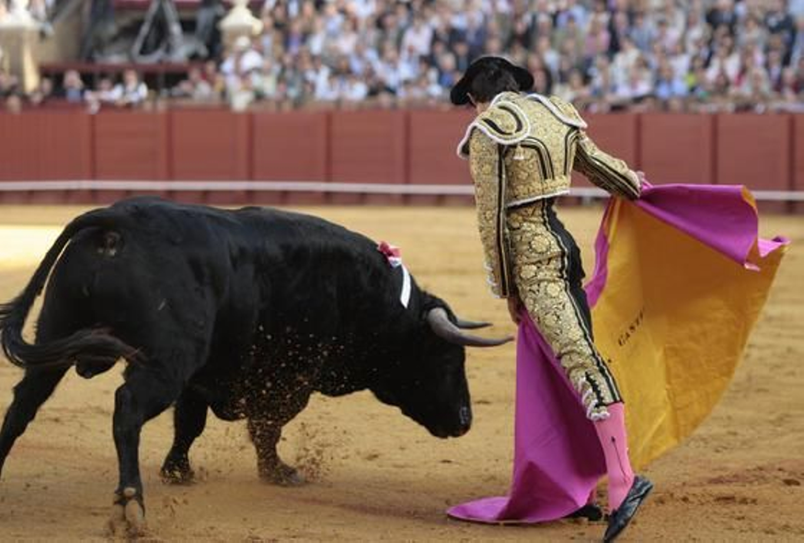 Castella./ Juan Carlos Muñoz