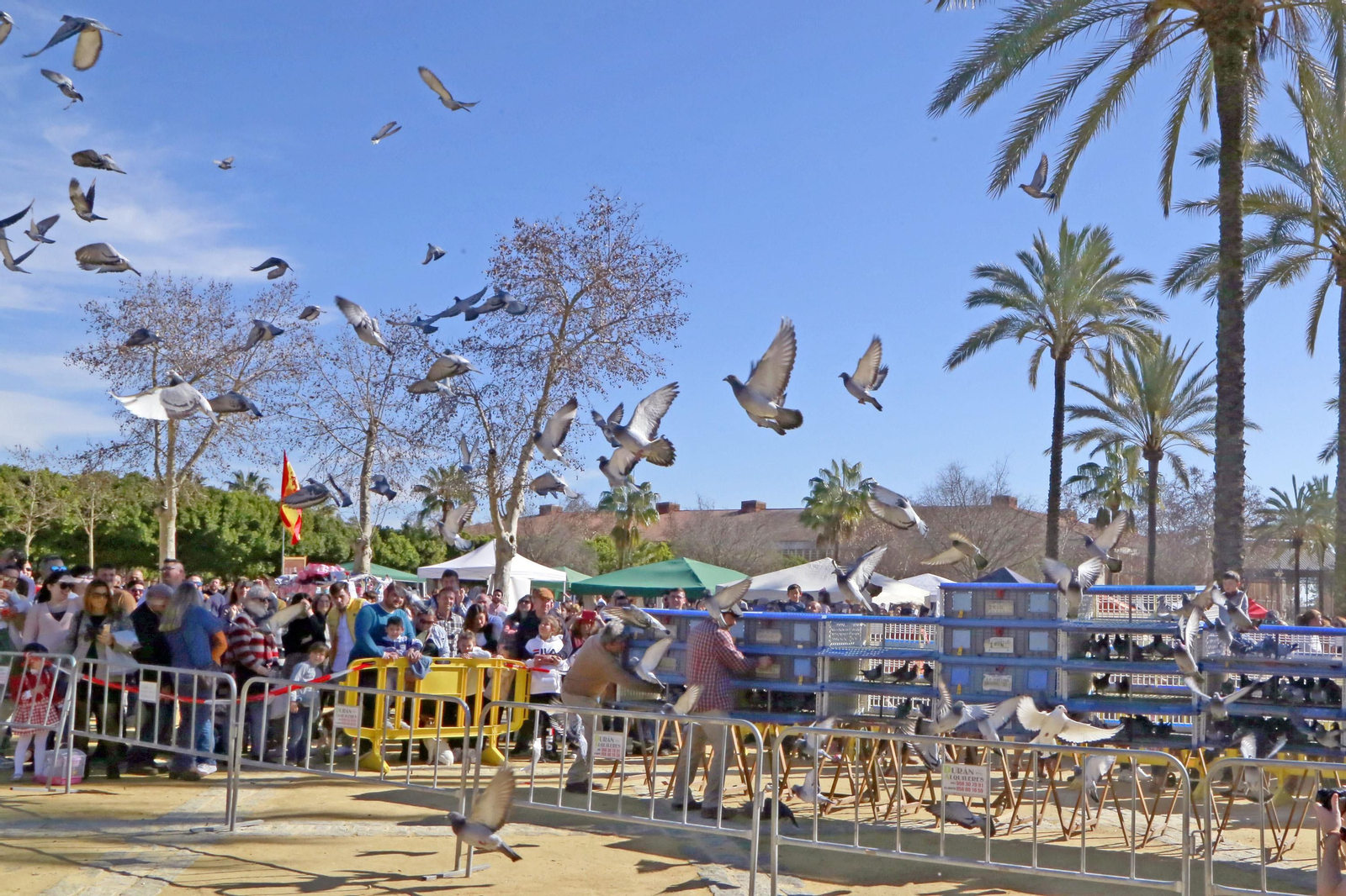 Imágenes de San Antón 2020 en Jerez