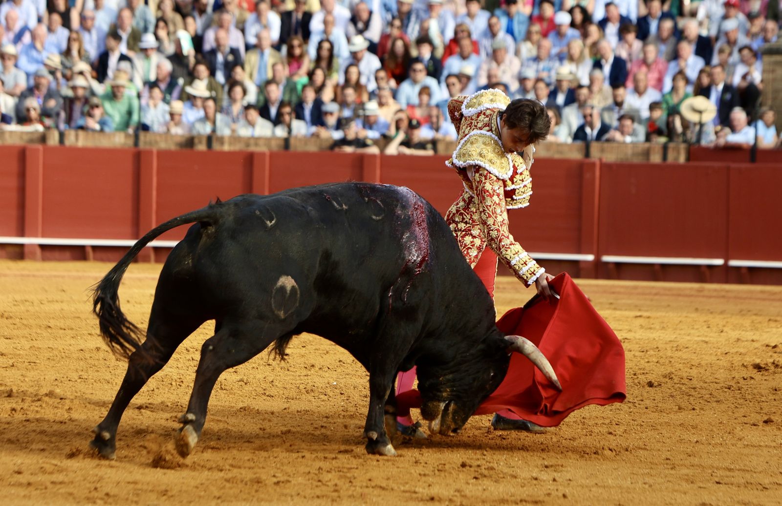 Las mejores imágenes de la corrida de toros de Juan Ortega, Roca Rey y Pablo Aguado