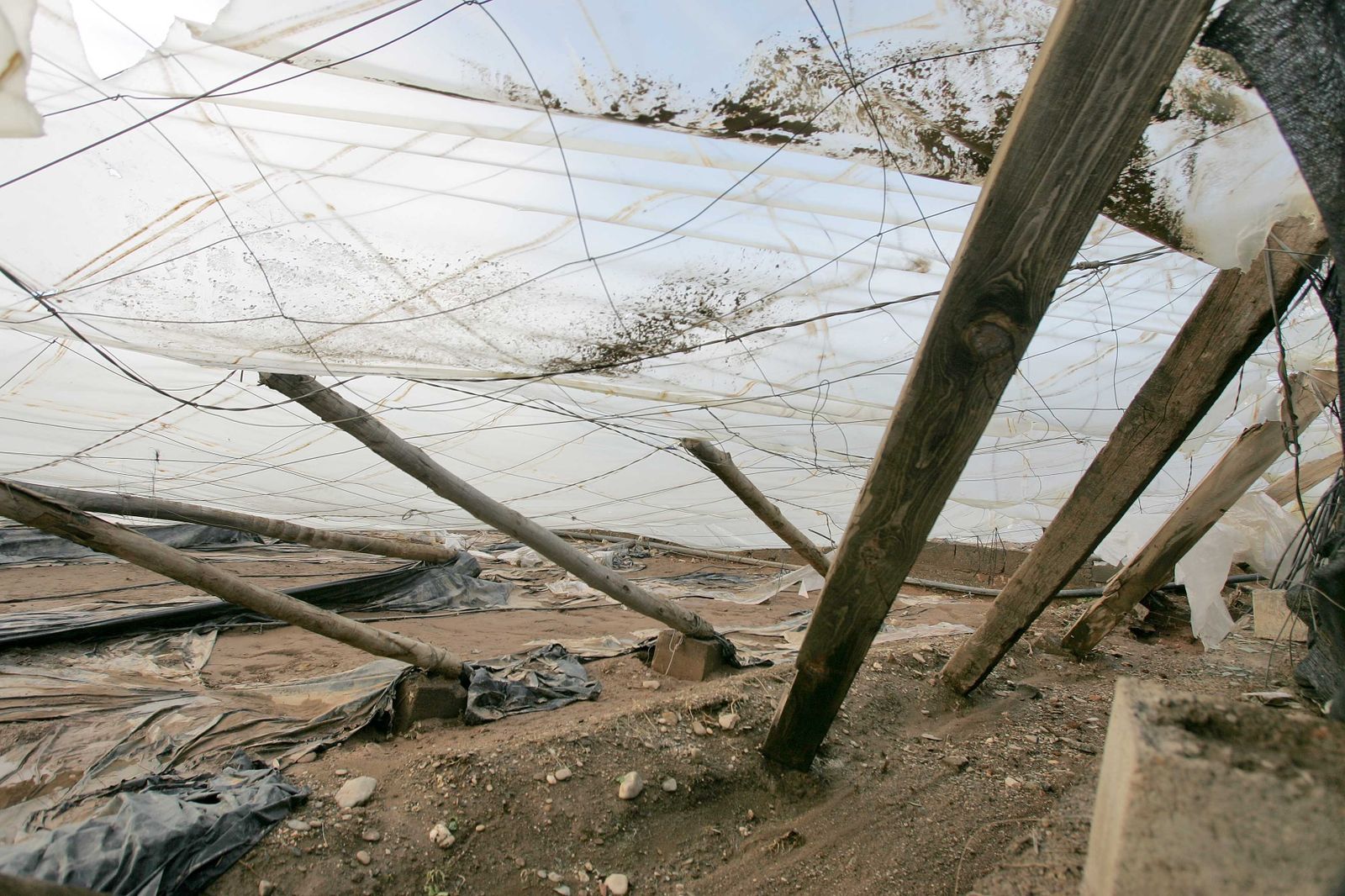 Un invernadero afectado por el temporal en la zona del poniente almeriense.