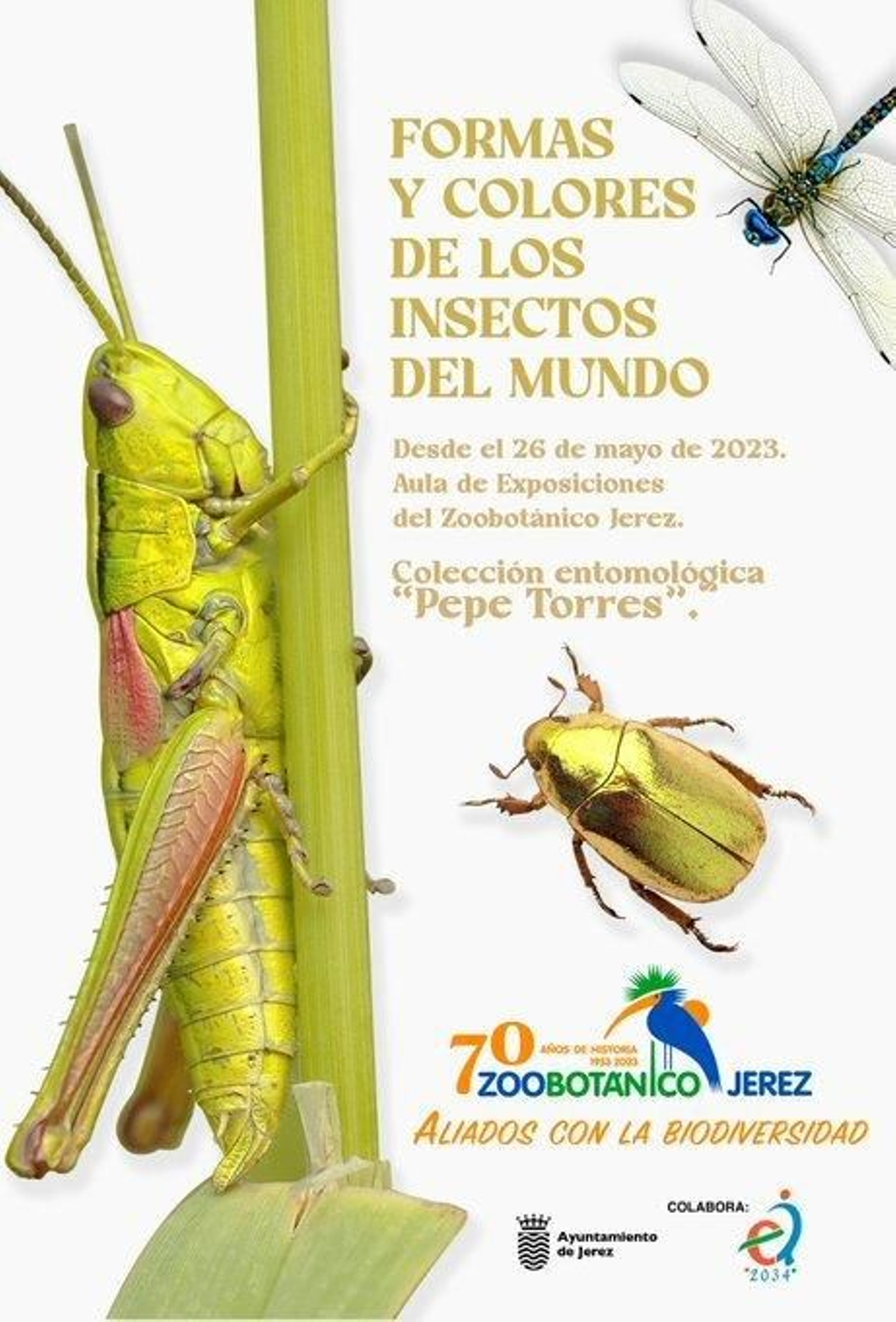 Exposición de la colección entomológica 'Pepe Torres'
