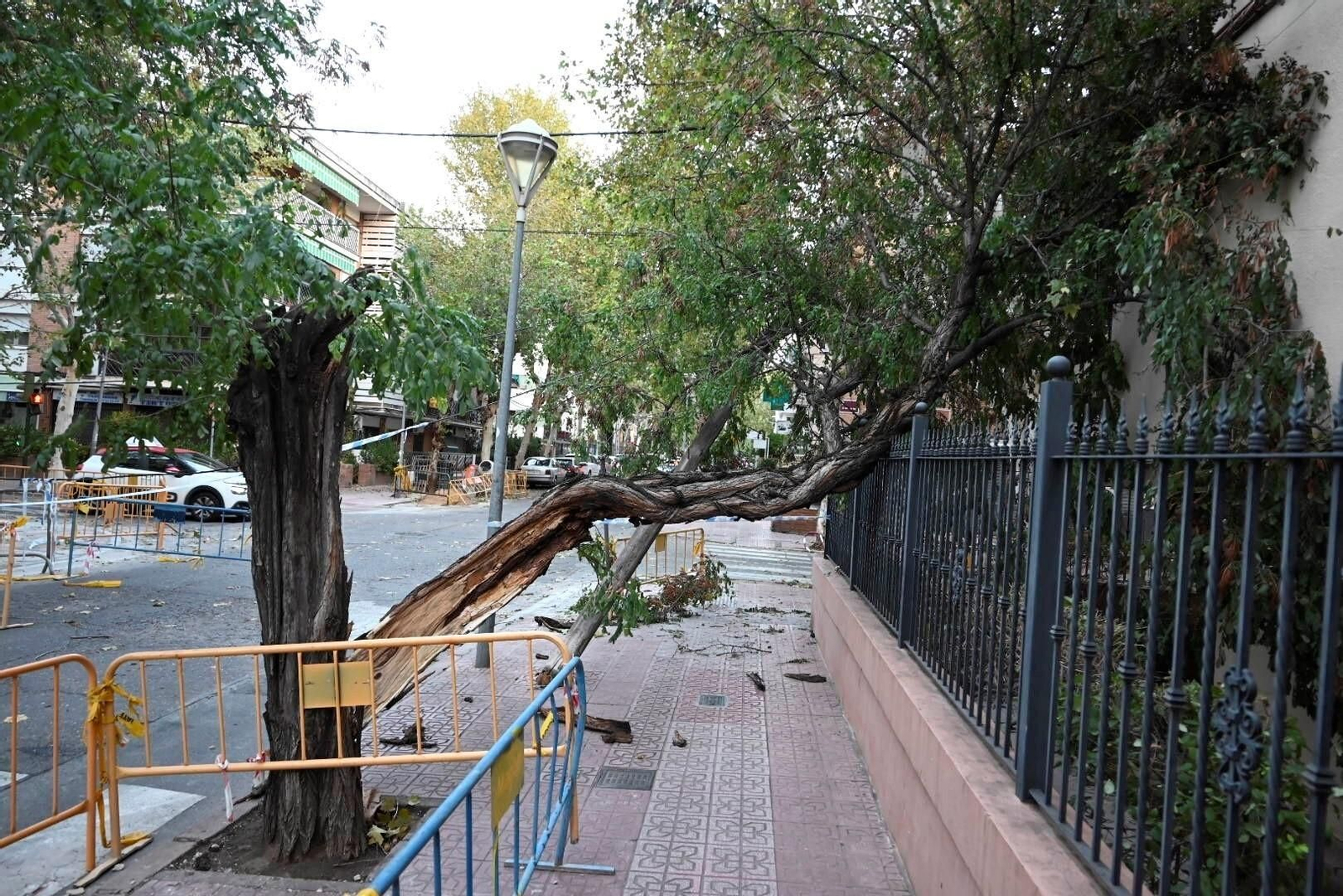 Los daños causados por la borrasca Bernard en Córdoba, en imágenes