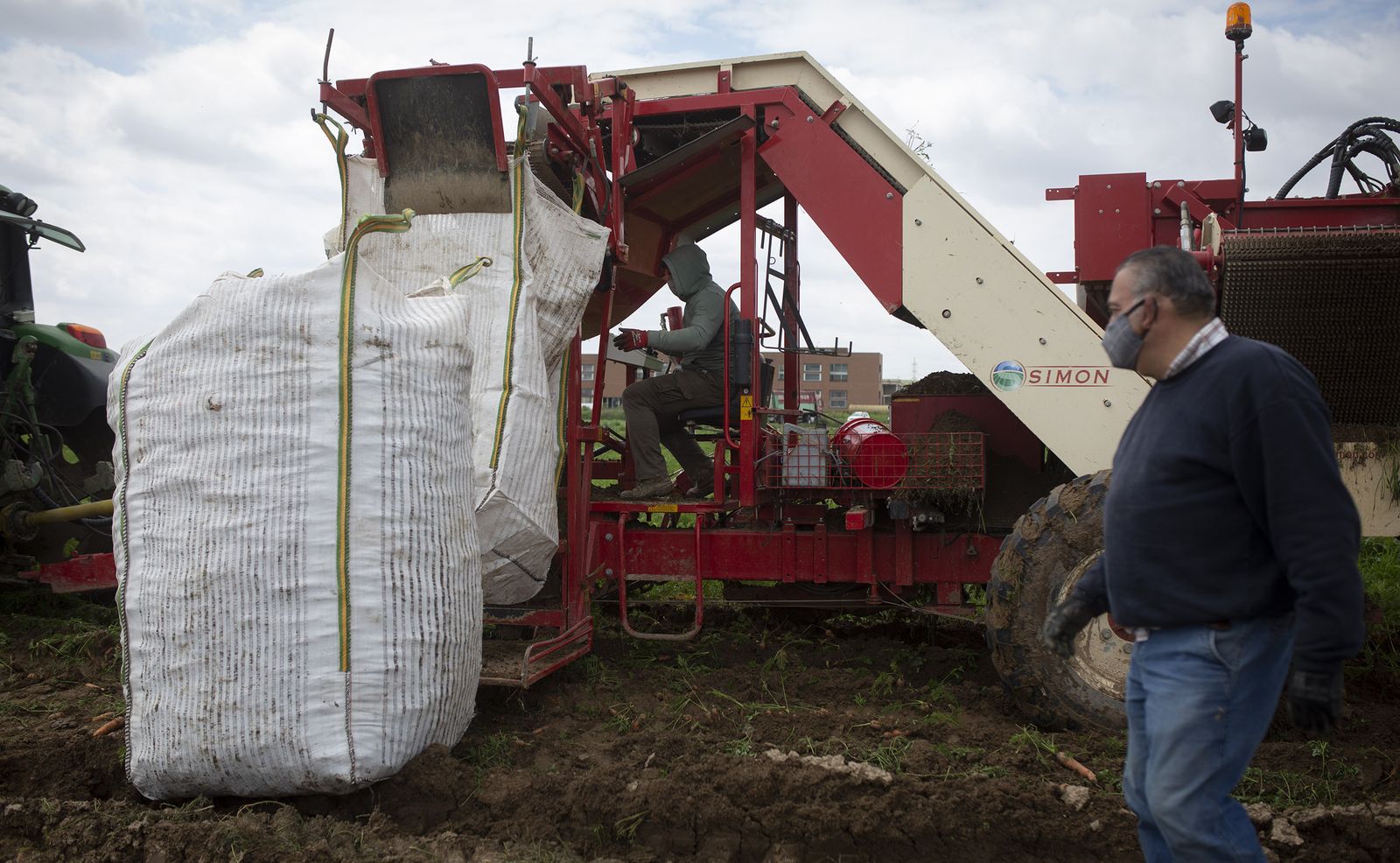 Coronavirus: de la tierra a la mesa