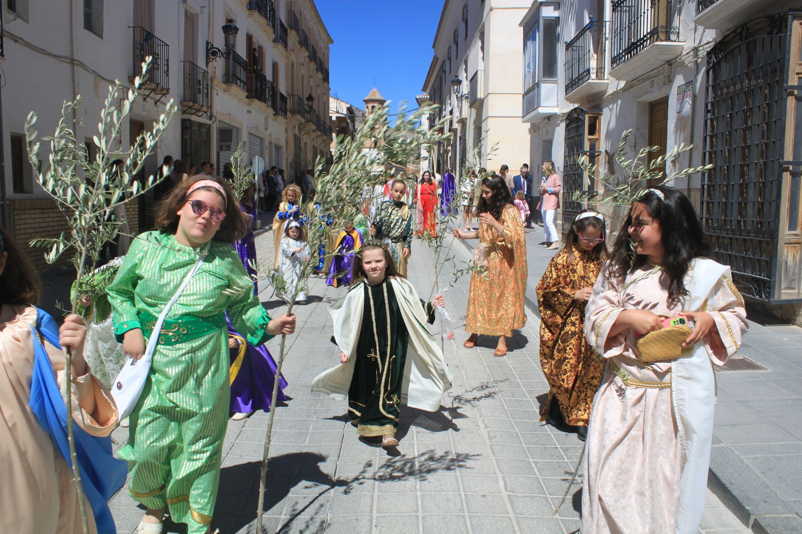 La borriquita de Vélez-Rubio, en imágenes
