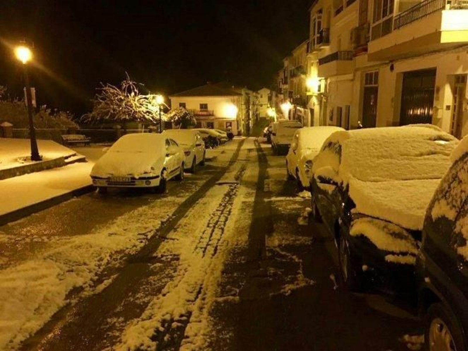 Imágenes de la nevada en la Sierra de Cádiz