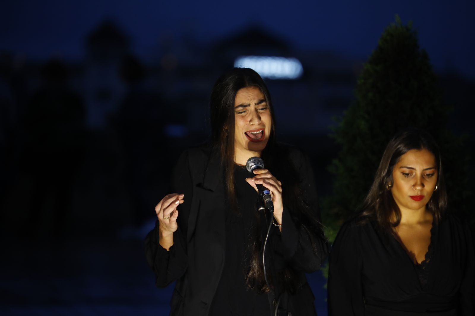 La celebración del Día Internacional del Flamenco en Córdoba, en imágenes