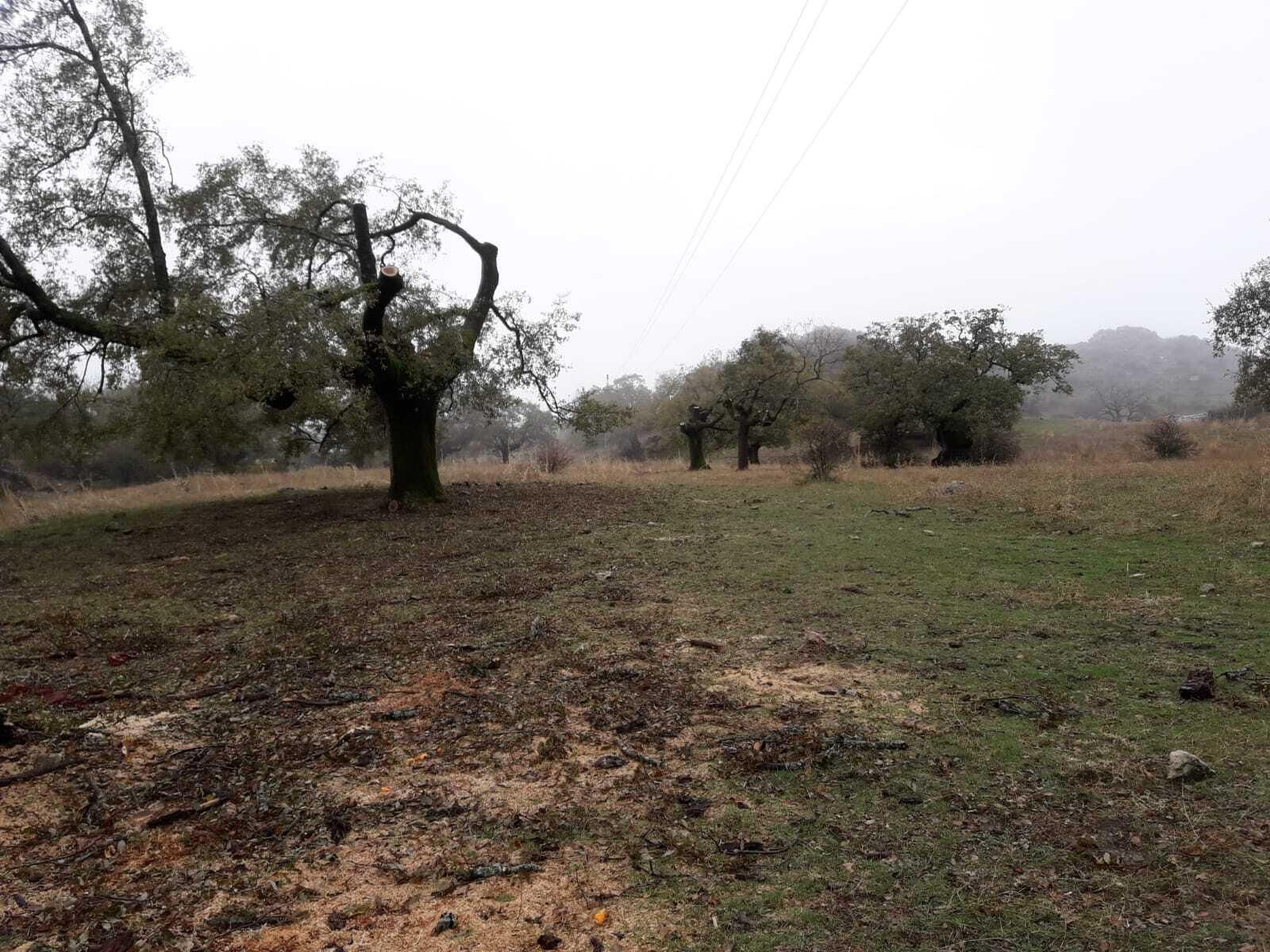 Aspecto que presenta una parte del Parque Natural de las Sierras Subbéticas.