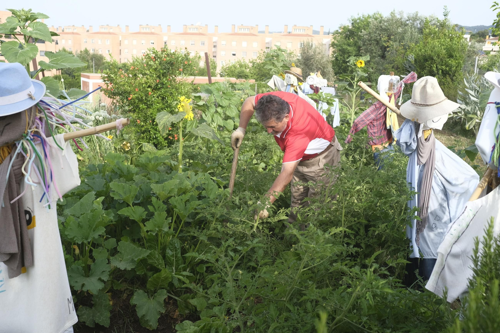 Un hombre realiza labores en los huertos urbanos de la Asomadilla.