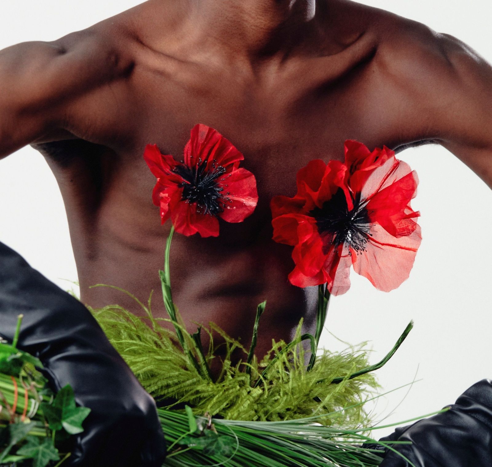 Una de las nuevas creaciones de Palomo Spain.