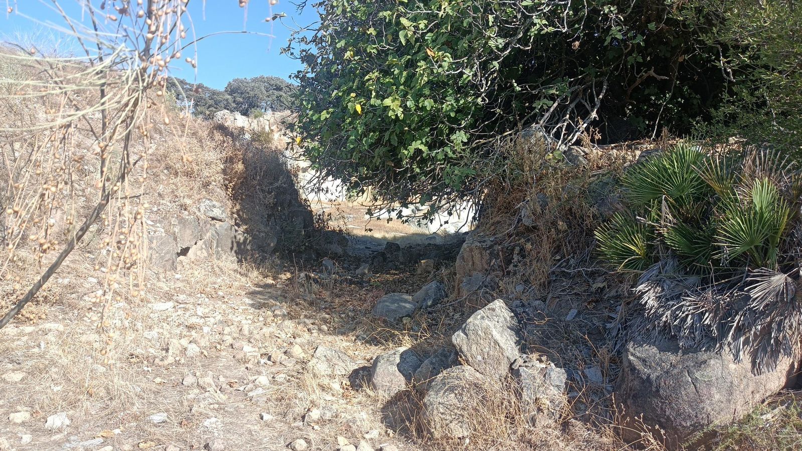 Por ahí detrás se puede apreciar la cantera.