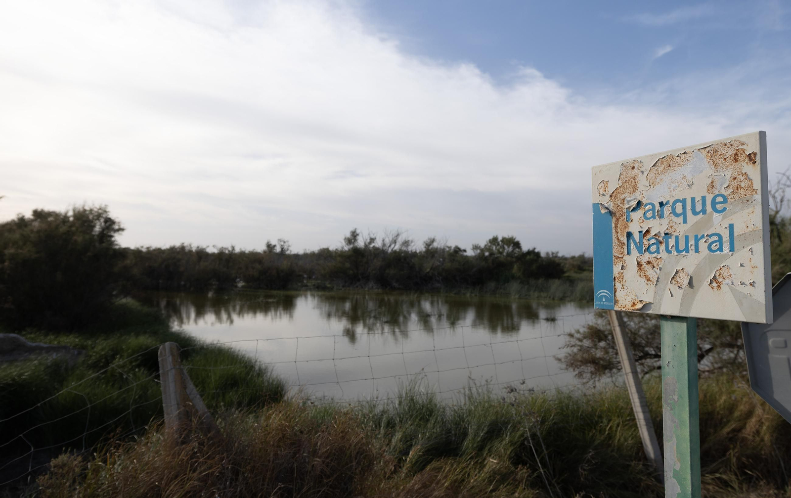 Imagen del Caño del Guadiamar en el Parque Nacional de Doñana.