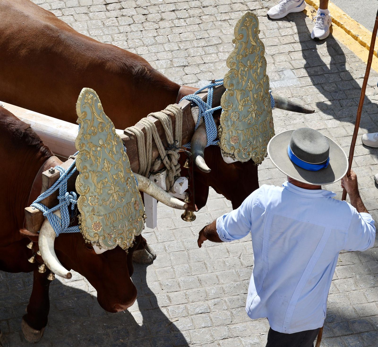 Presentación de las hermandades en Villamanrique