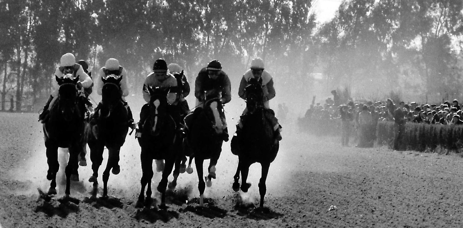 75 aniversario del hipódromo de Pineda