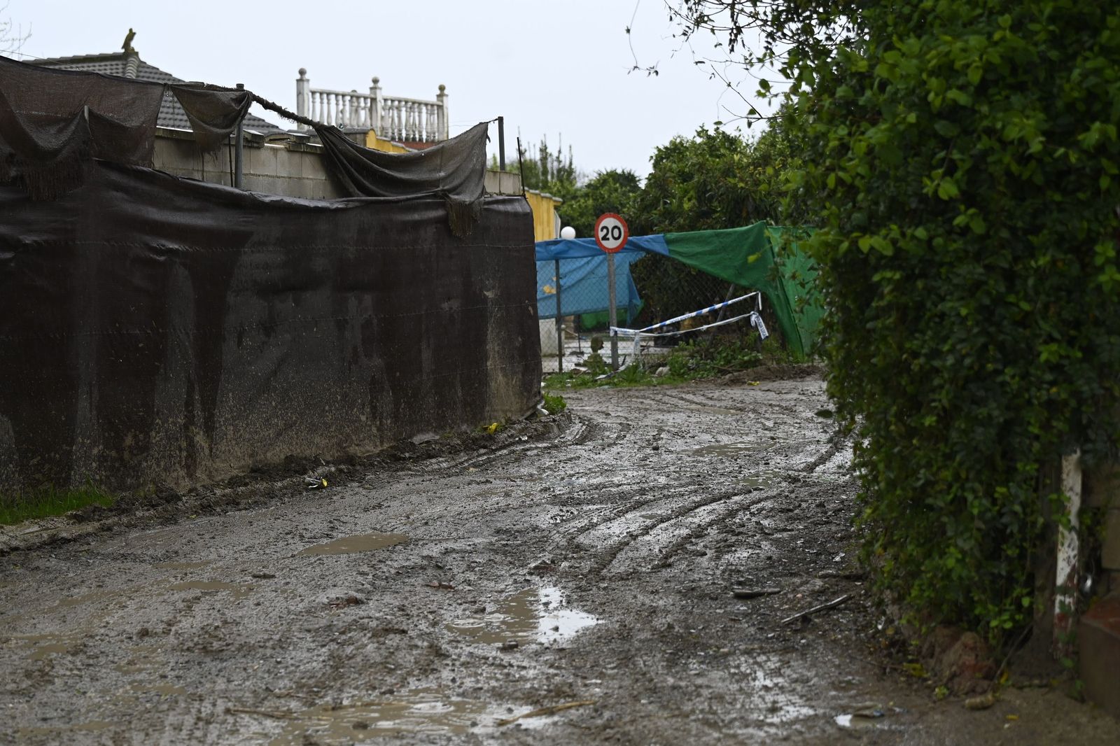 Parcelas de Guadalvalle siguen anegadas por el barro un mes después de las inundaciones
