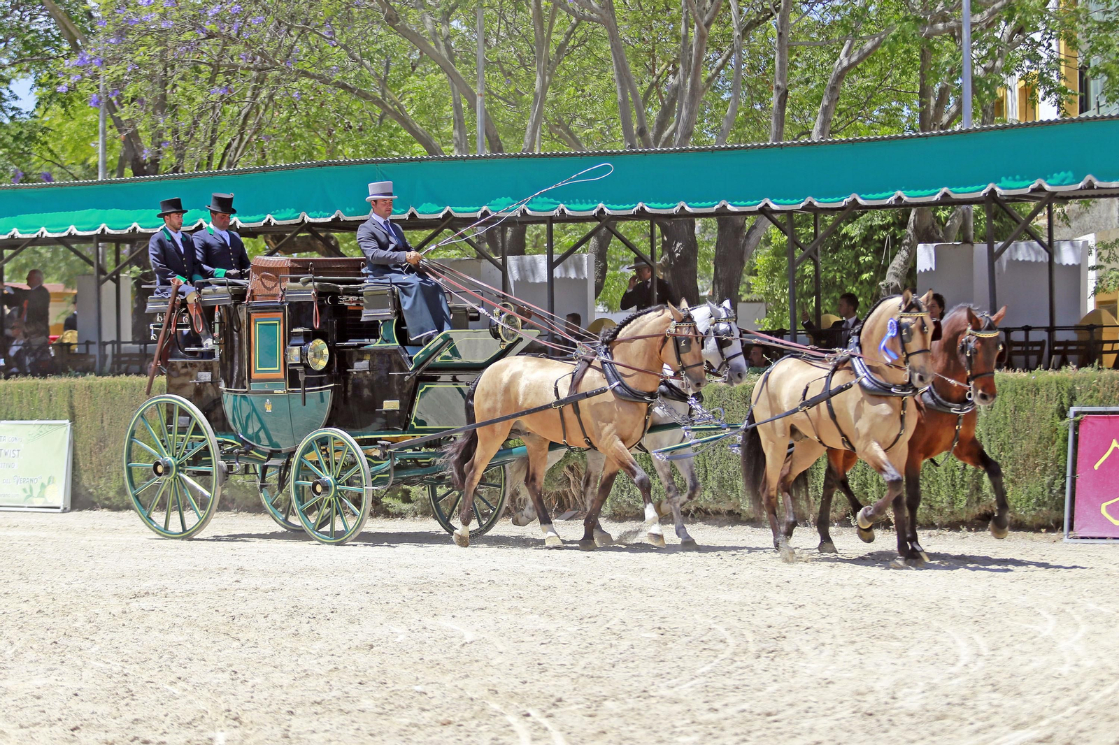 Trofeos de los concursos de Enganches y Morfológicos en la Feria de Jerez
