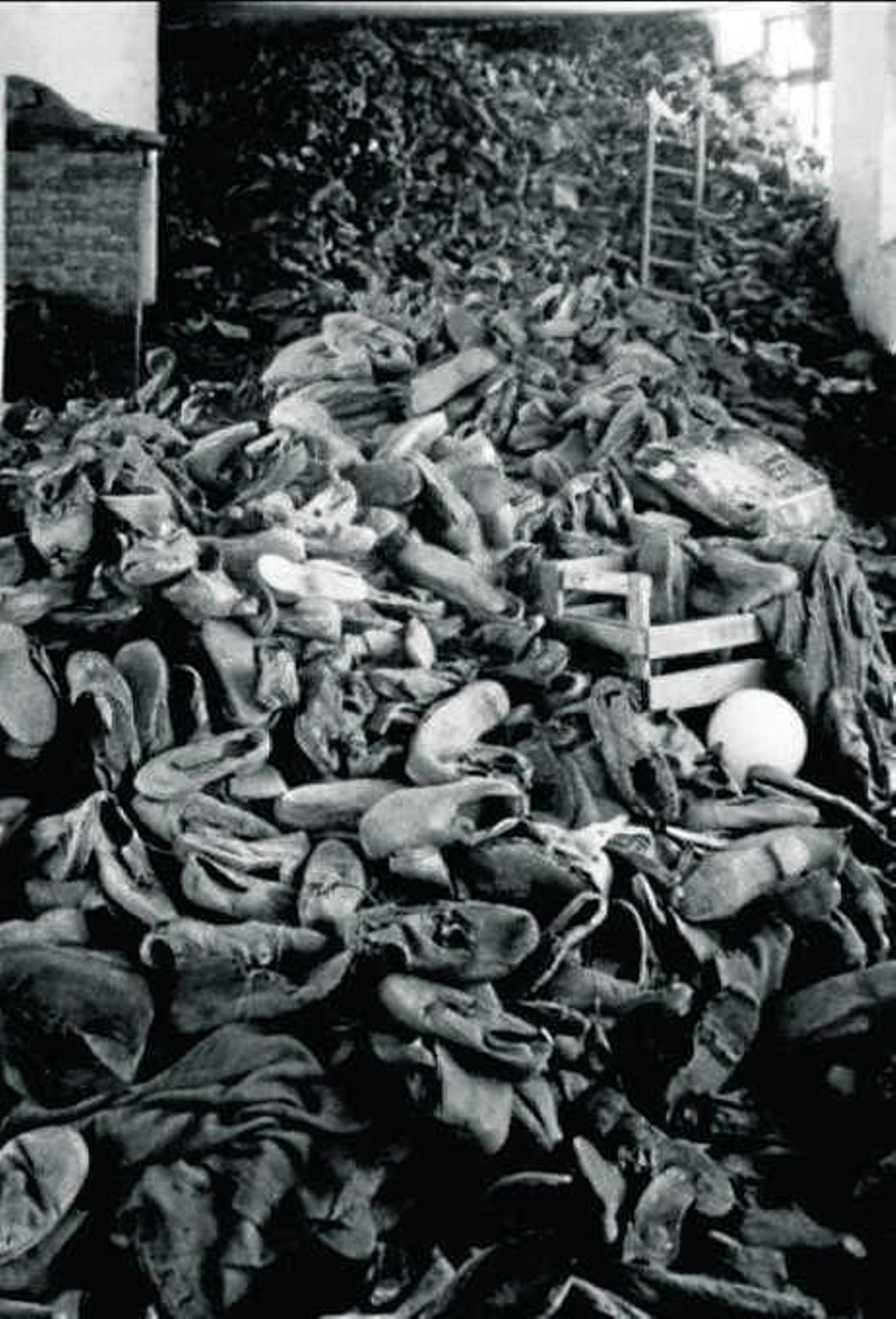 Vidas indignas de ser vividas