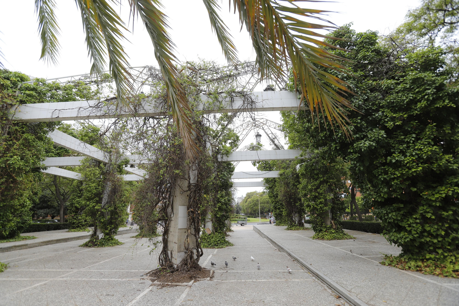 Imágenes del deterioro en la Avenida de Andalucía