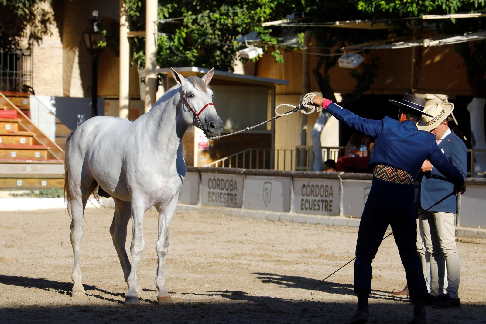 Cabalcor Cabalcor