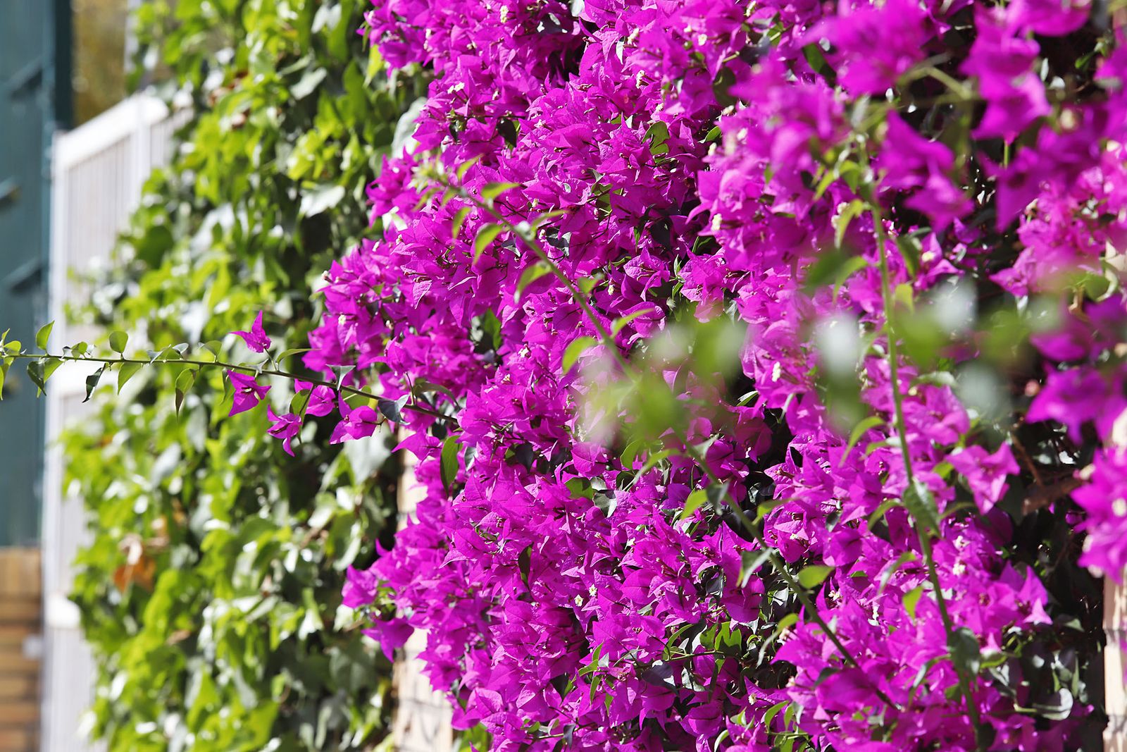 Las imágenes más destacadas del miércoles 18 de octubre en Huelva