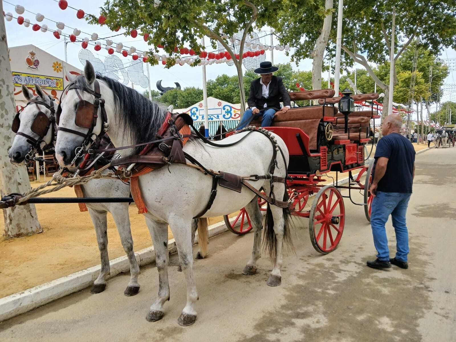 Todas las imágenes del domingo de Feria de El Puerto 2024