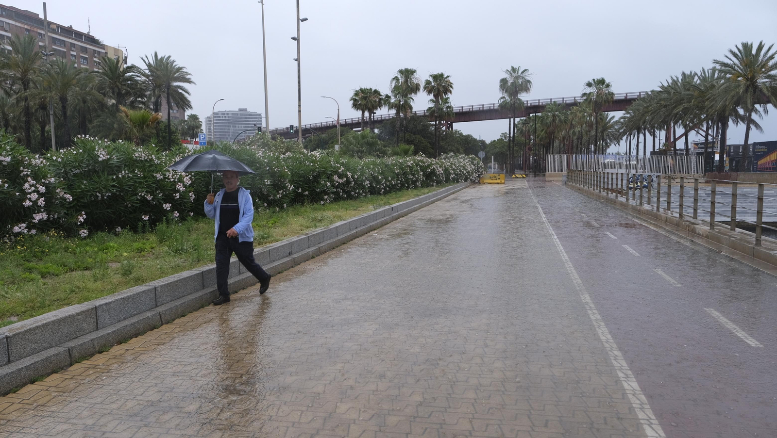 Los almerienses expresan su alegría por la lluvia