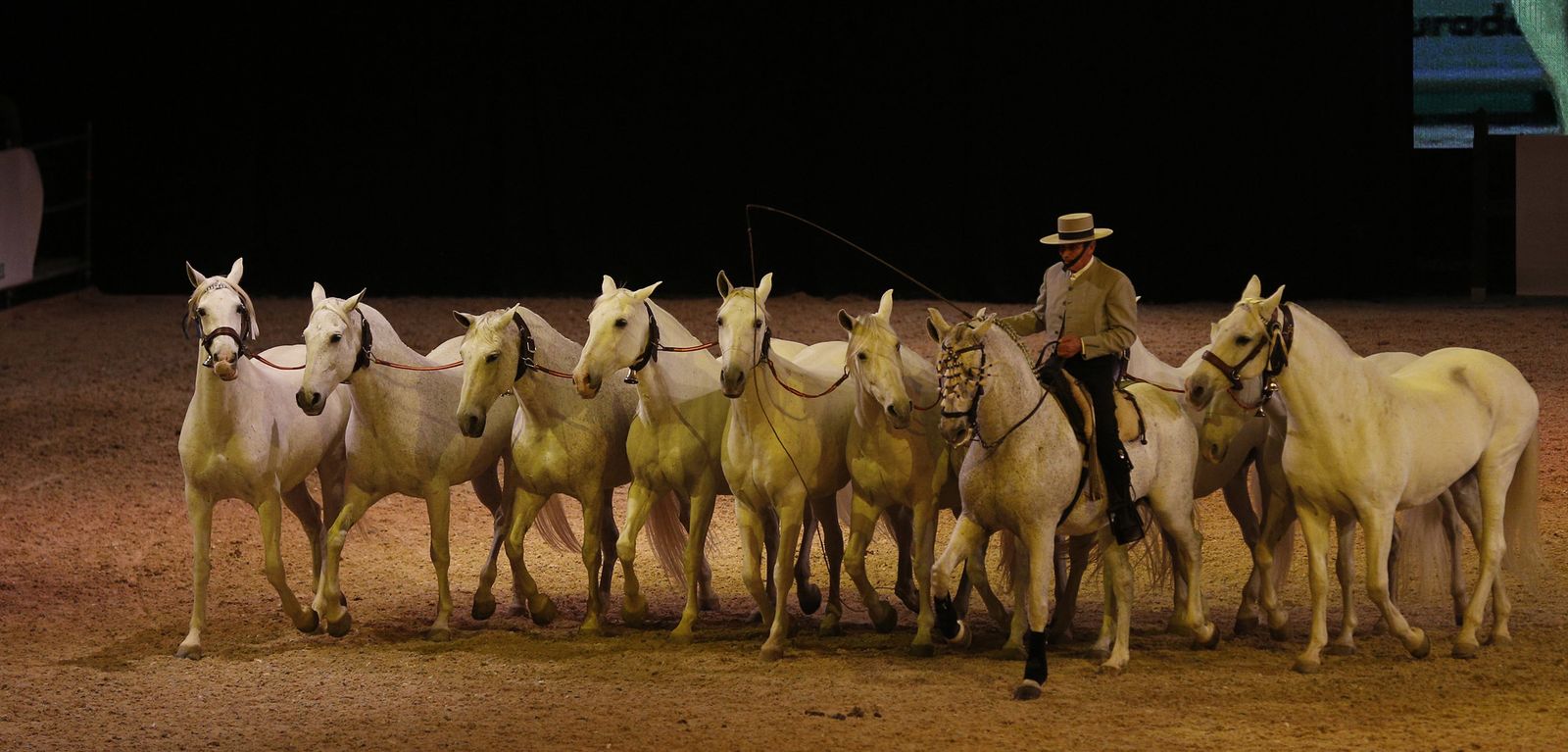 Inauguración de Sicab 2017
