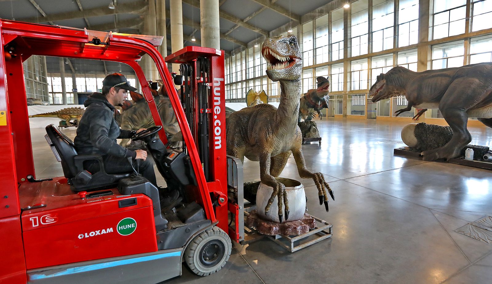 Imágenes del montaje de la mayor exposición de dinosaurios animatrónicos
