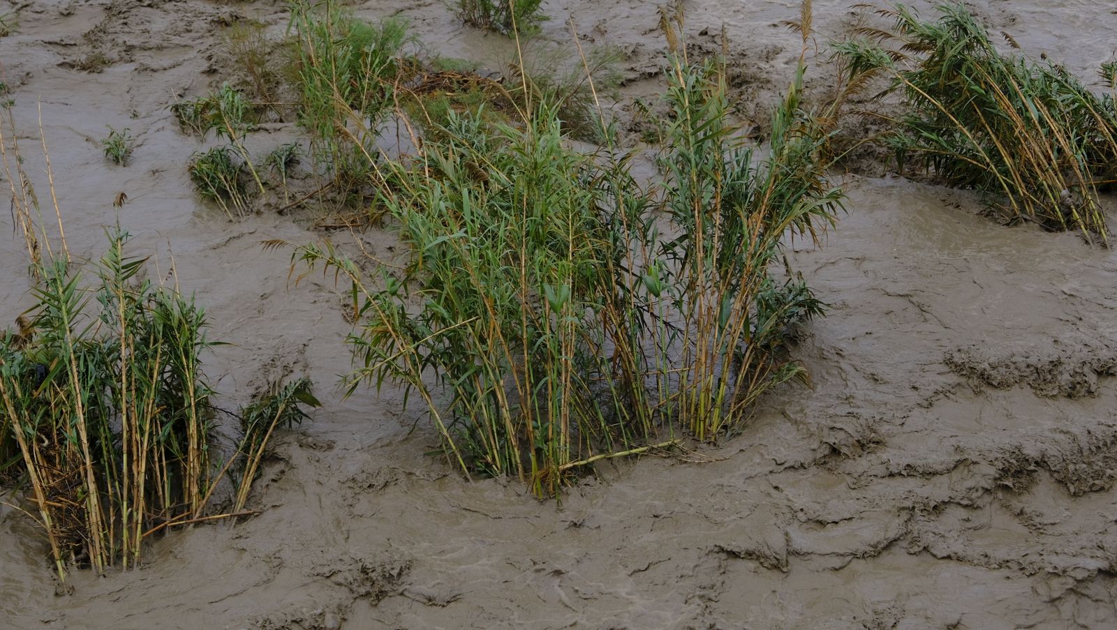 Fotogalería de las lluvias torrenciales en Almería