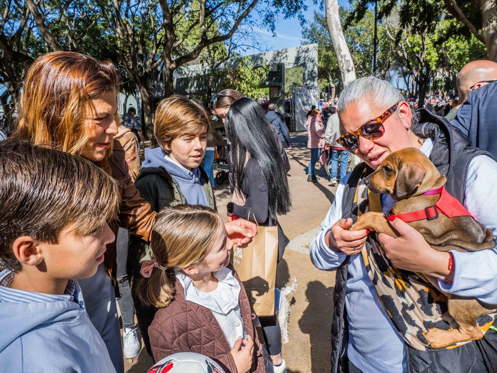 Las imágenes de San Antón 2025 en San Fernando