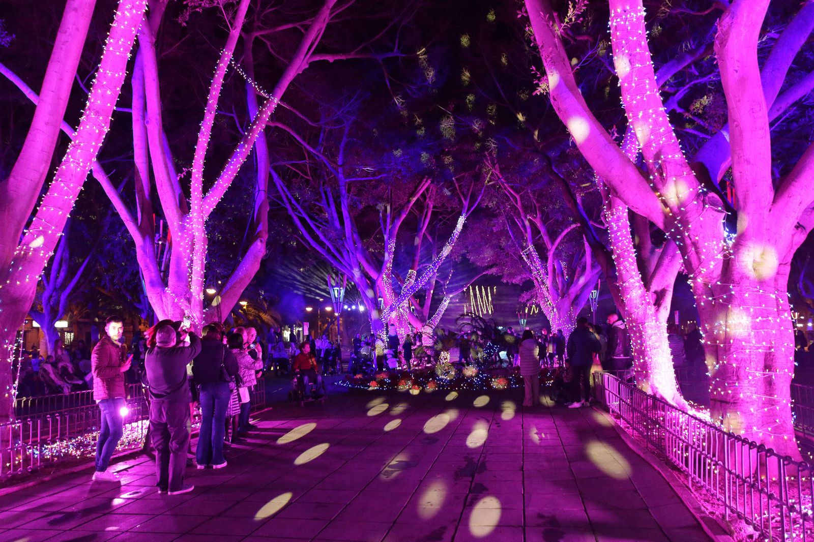 Así brilla el parque Nicolás Salmerón con el espectáculo 'Posidonia'