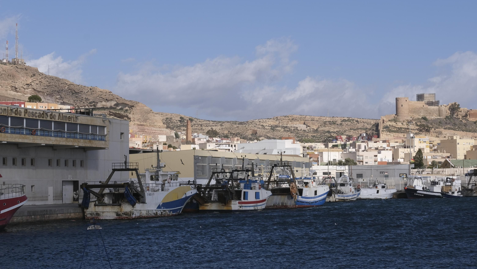 Temporal de viento y flota pesquera amarrada, en Almería