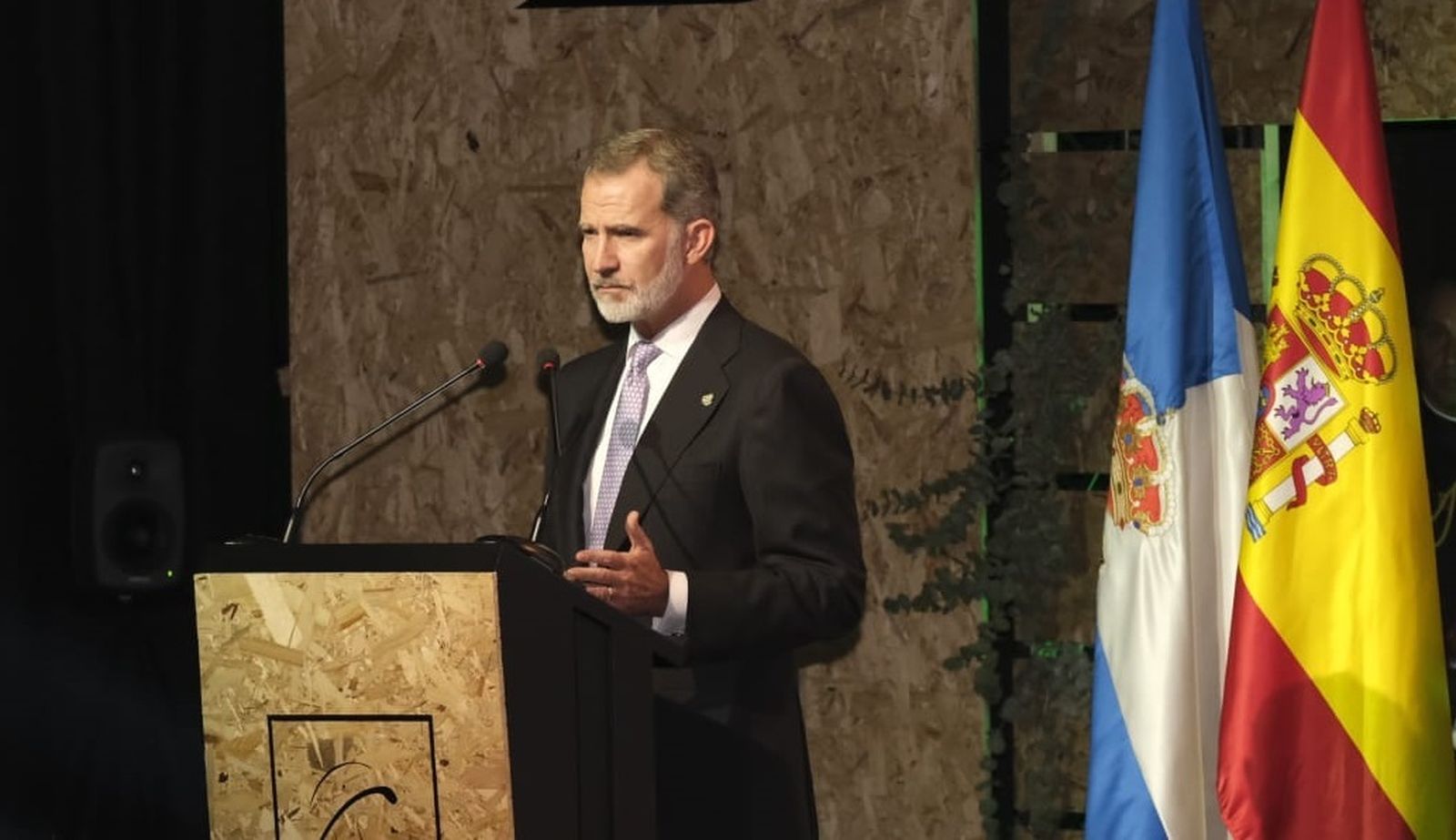 El Rey Felipe VI durante su discurso.