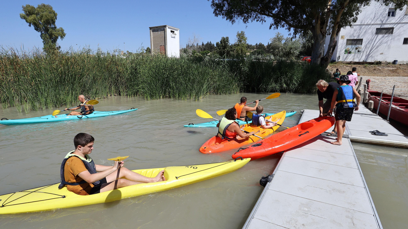 Paseo por el Guadalete en Kayak