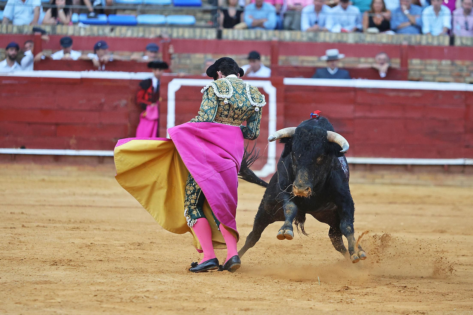 Toros La Merced 2024 Novillada con picadores(