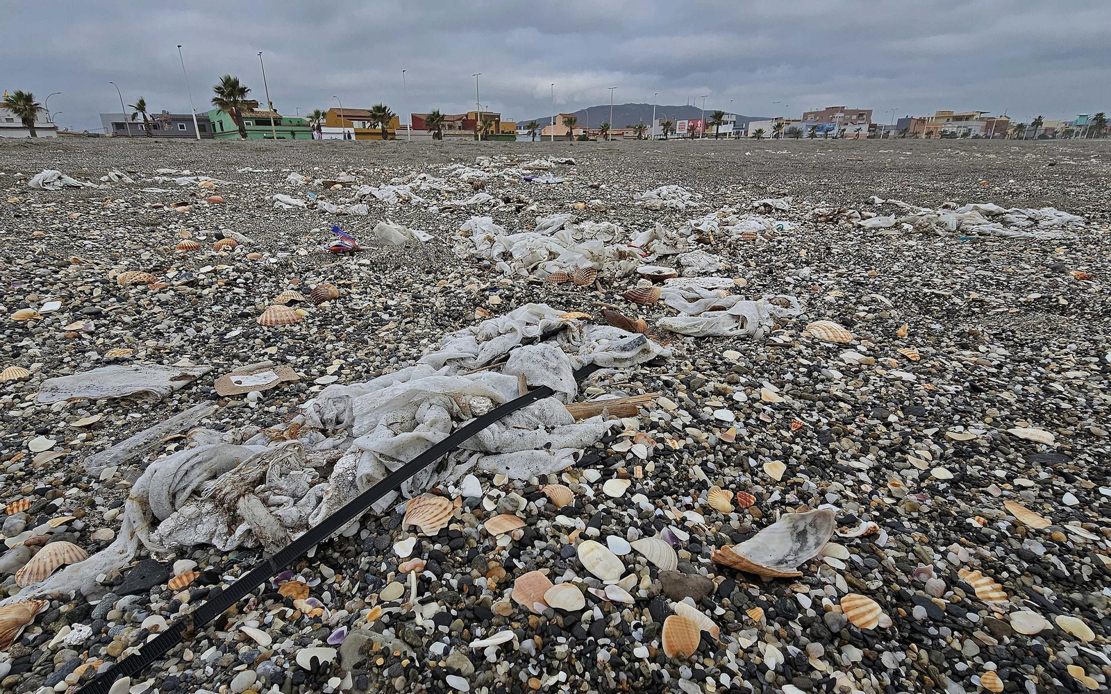 Las toallitas acumuladas en la playa de Levante de La Línea, en imágenes