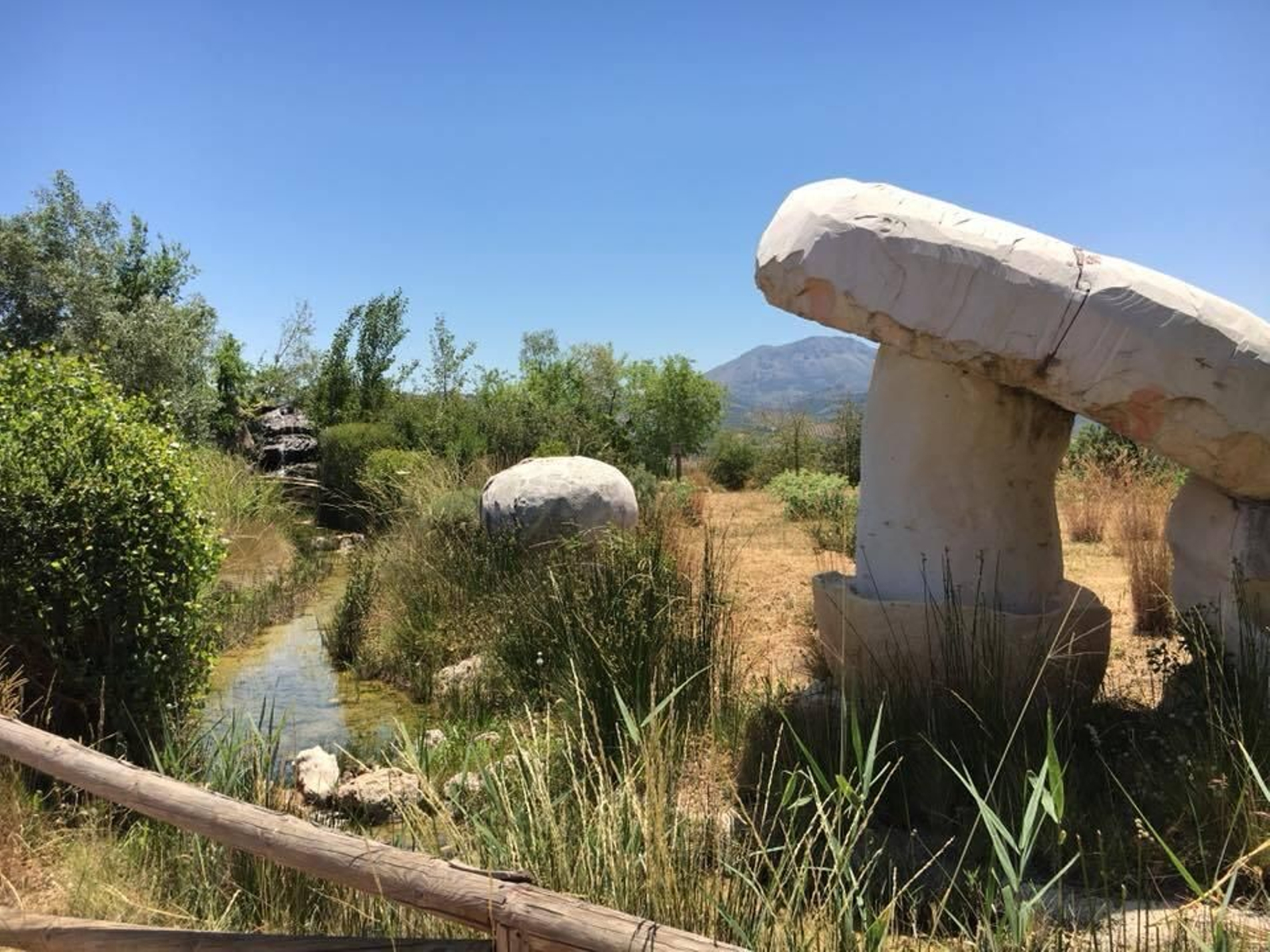 Jardín Micológico de Priego de Córdoba.