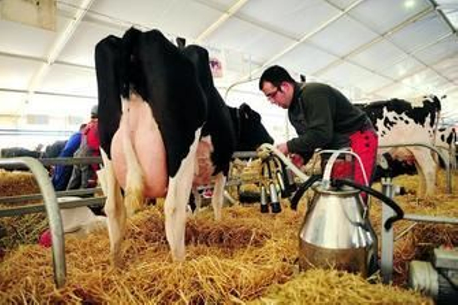 Uno de los expositores de la feria que se desarrolla hasta el domingo en Pozoblanco.