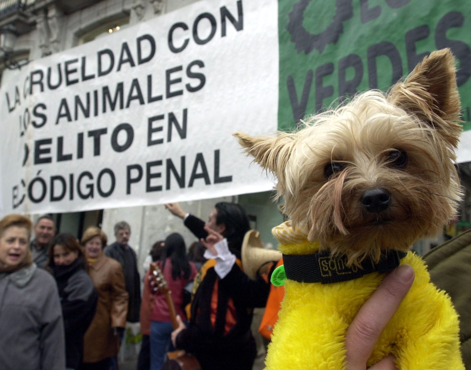 Manifestación por los derechos de los animales.