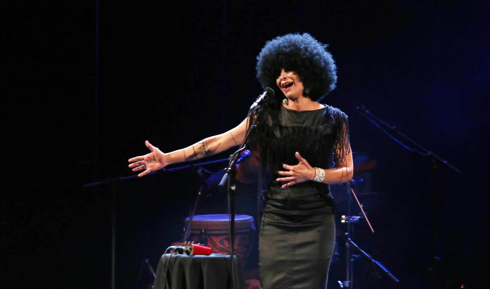 La Negra, durante una actuación.