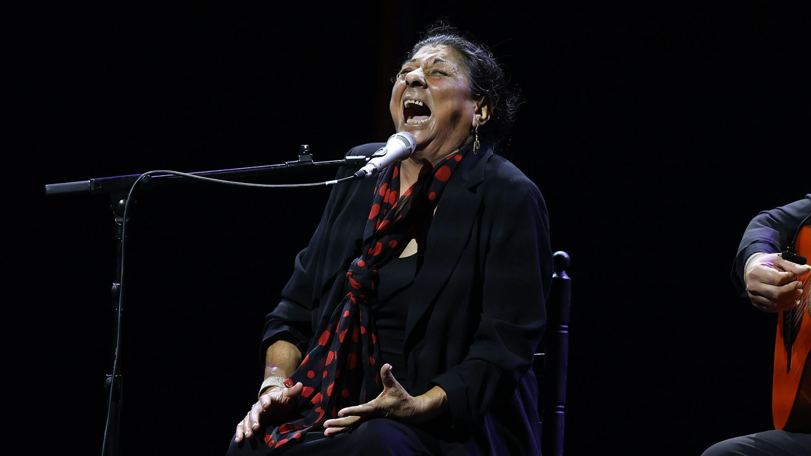 Imágenes de la 58 edición de la Fiesta de la Bulería en Jerez