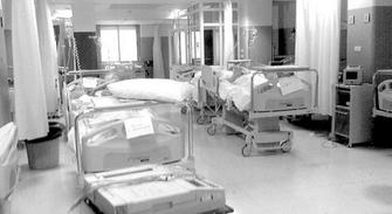 Fotografía dada a conocer ayer por el Partido Popular de Almería.